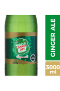 Canada Dry Ginger Ale 3lt