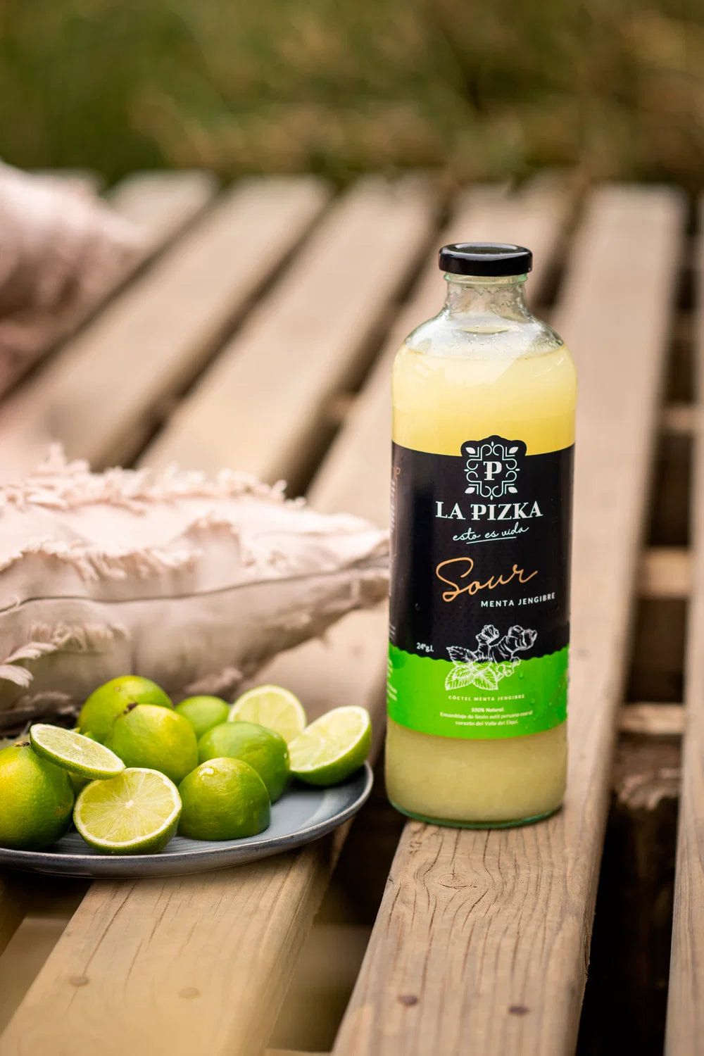 La Pizka Sour Menta Jengibre_1Lt