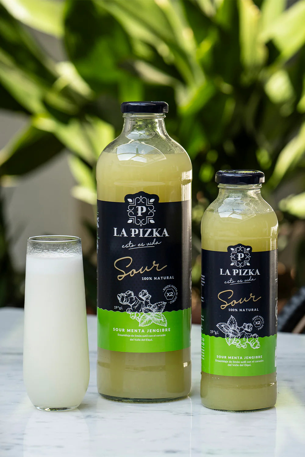 La Pizka Sour Menta Jengibre 475ml